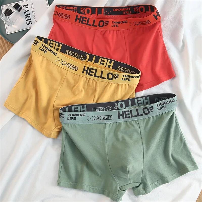 10Pieces/ Men's Underwear Men  - Boxer Brief Pack Cotton reseña y precio