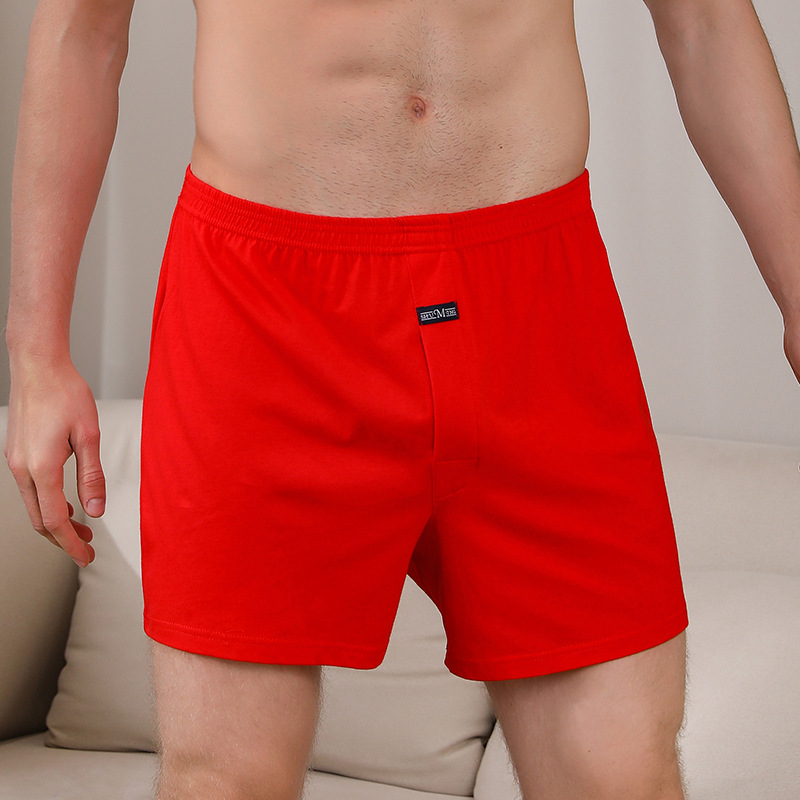 1PCS Men's Underwear Aro Pants - Boxer Brief Pack Cotton reseña y precio