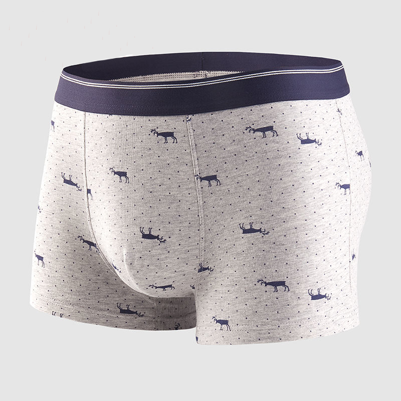 4pcs Men's Panties Sexy Shorts - Boxer Brief Pack Cotton reseña y precio
