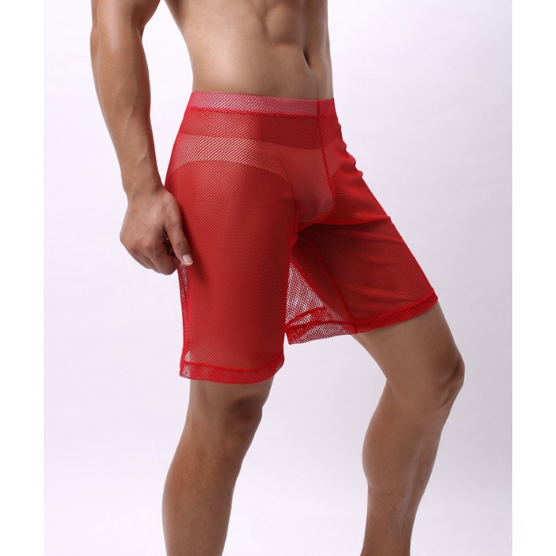 Low Rise Mesh Erotic Underwear - Pouch Boxer Pouch reseña y precio