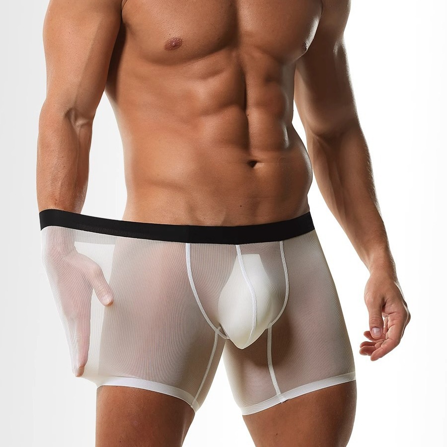 Mens Long Leg Boxer Shorts Ice - Long Leg Trunk Men reseña y precio